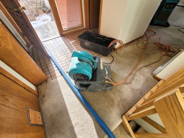 Best Basement water damage restoration  in Santa Fe, NM