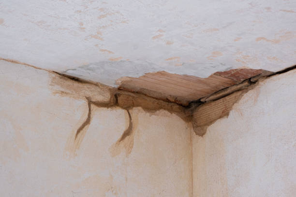 Best Fire Damage Restoration  in Santa Fe, NM