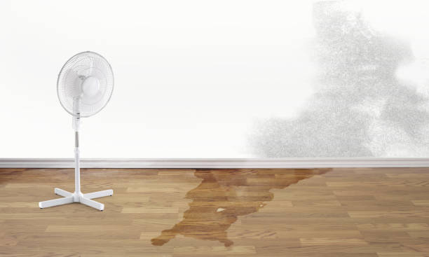 Best Flood restoration services  in Santa Fe, NM