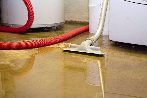 Best Mold removal after water damage  in Santa Fe, NM
