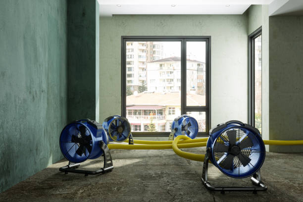 Best Water damage restoration near me  in Santa Fe, NM
