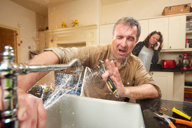 Best Professional water damage repair  in Santa Fe, NM